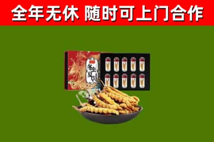 涵江回收冬虫夏草价格
