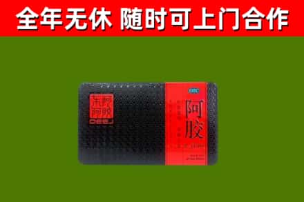 涵江回收阿胶